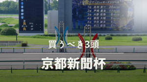 第70回京都新聞杯考察予想