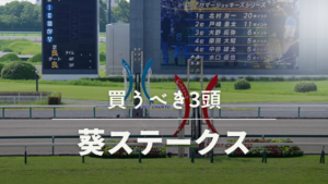 2022年葵ステークス競馬予想考察