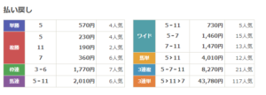 地下競馬0515結果