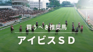 アイビスサマーダッシュ予想考察過去データ