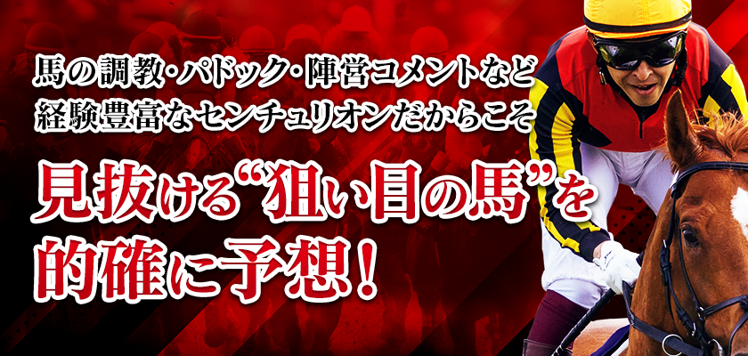 HRIセンチュリオンの特徴