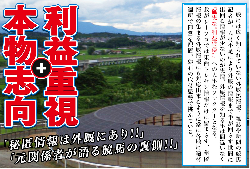 レープロの特徴