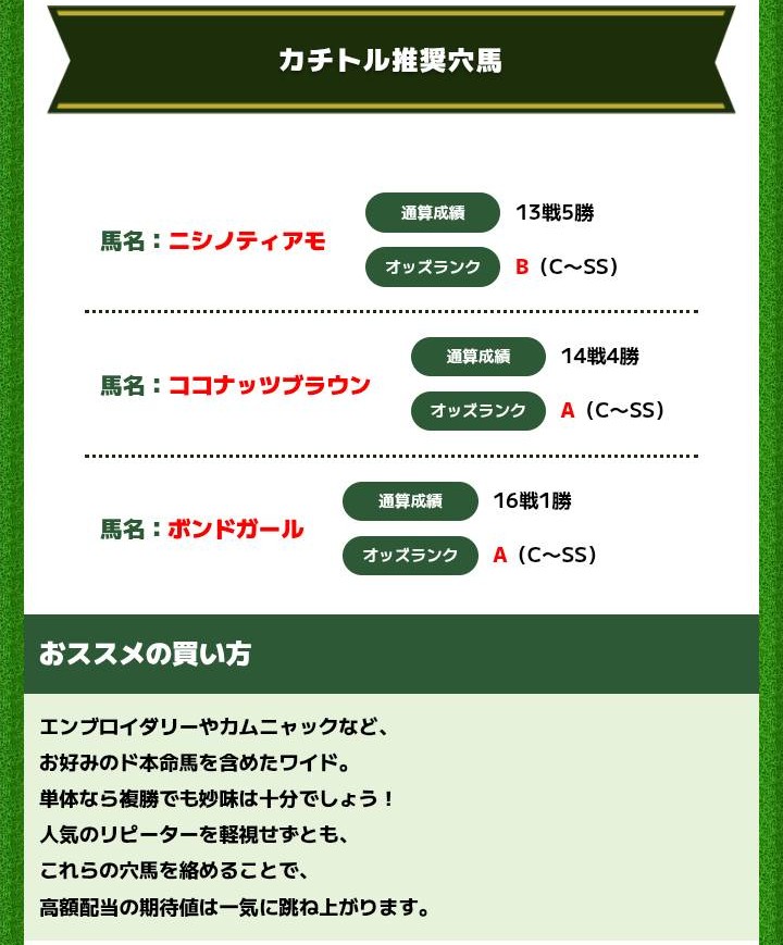 カチトルの重賞攻略買い目予想