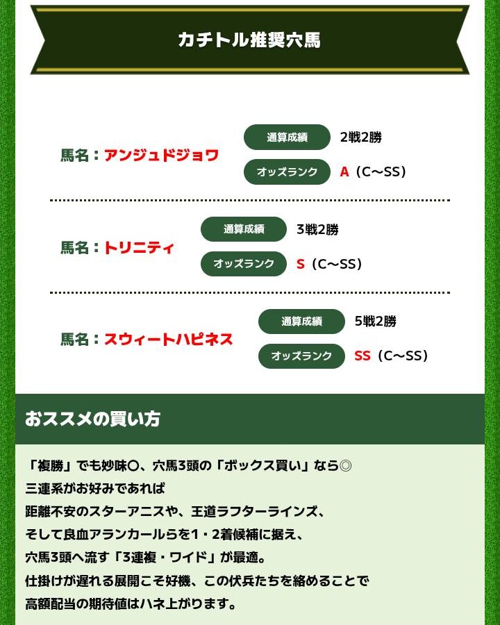 カチトルの重賞攻略買い目予想